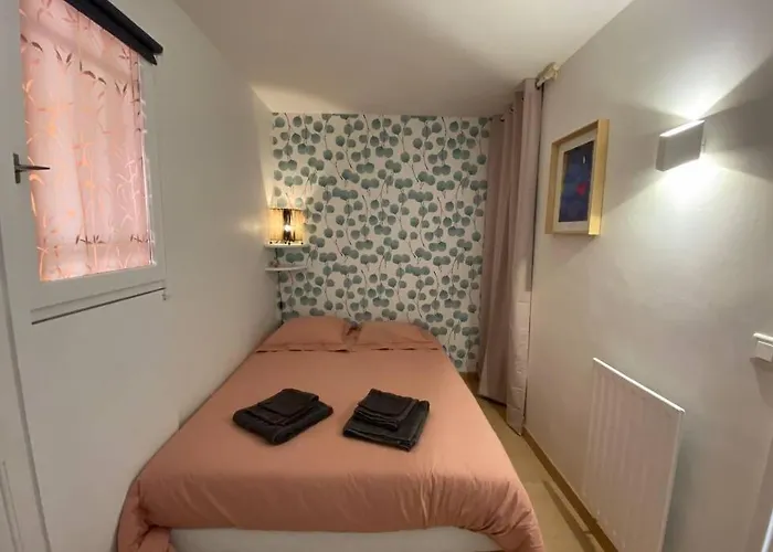 St-raphael - Joli T1 Au Port De Santa-lucia - Climatise Apartment